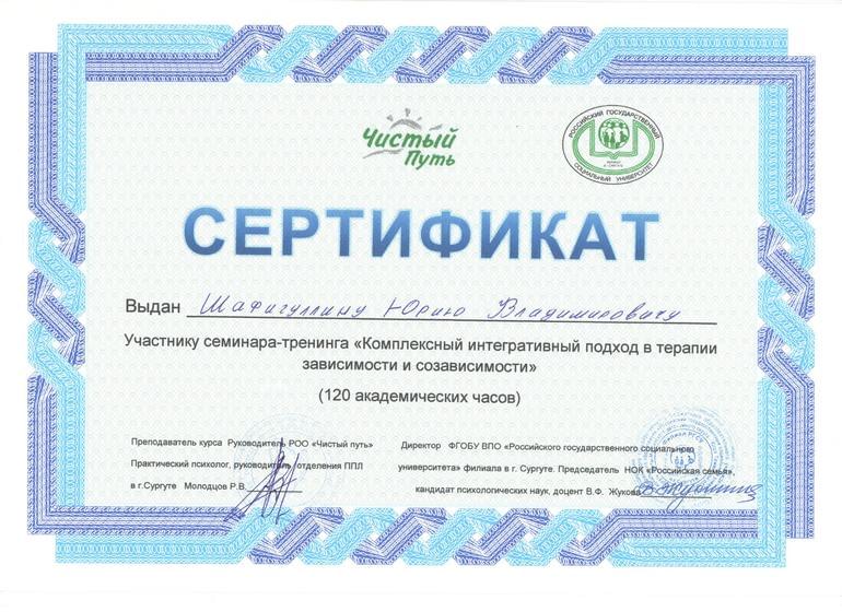 Сертификат Юрия Шафигулина Чистый Путь